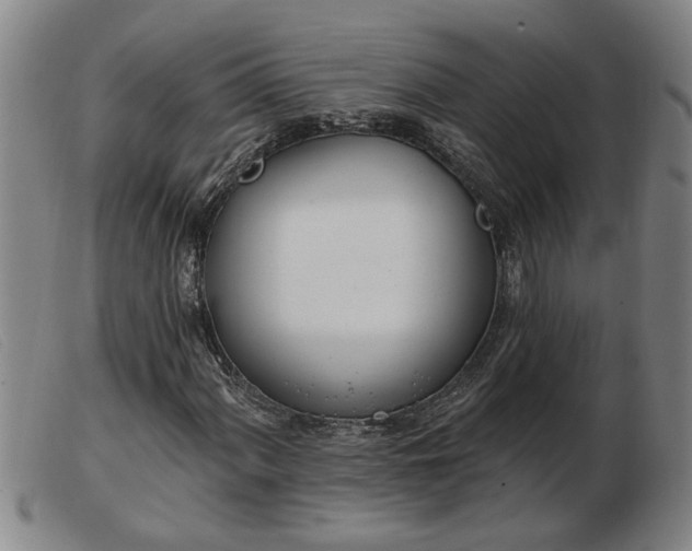 X0000103401060200809191516