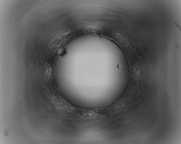 X0000103401061200809191516