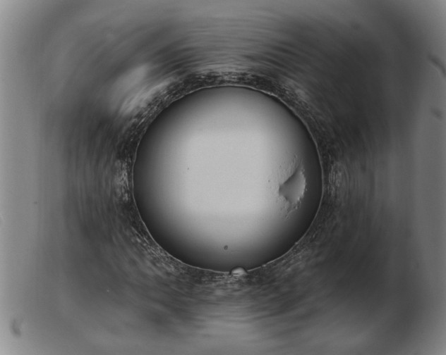 X0000103401062200809191516