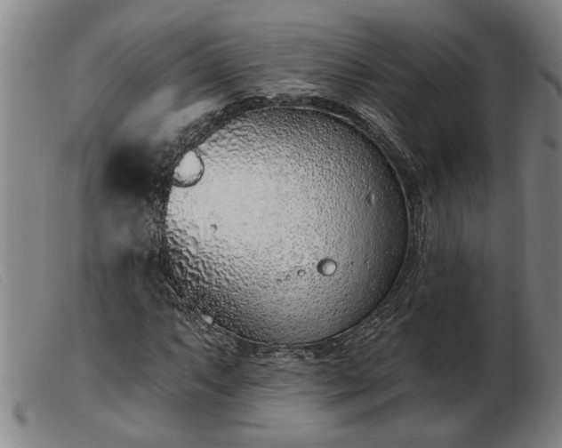 X0000103401063200809191516