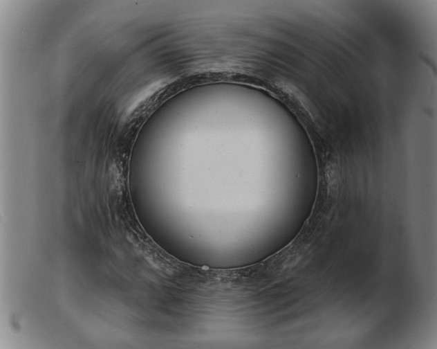 X0000103401064200809191516