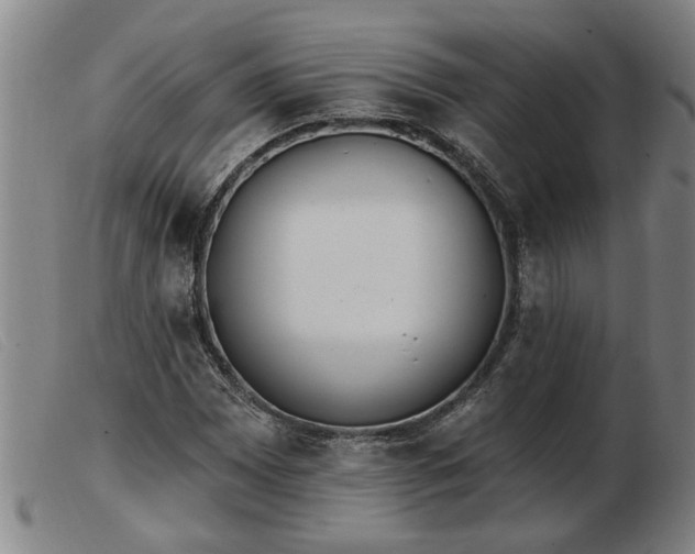 X0000103401065200809191516