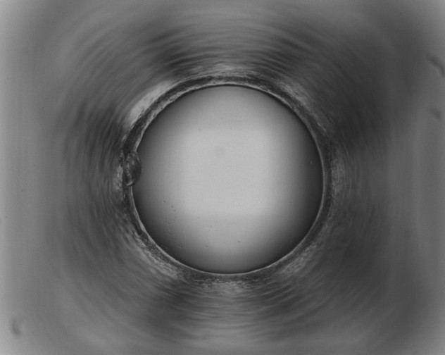 X0000103401066200809191516