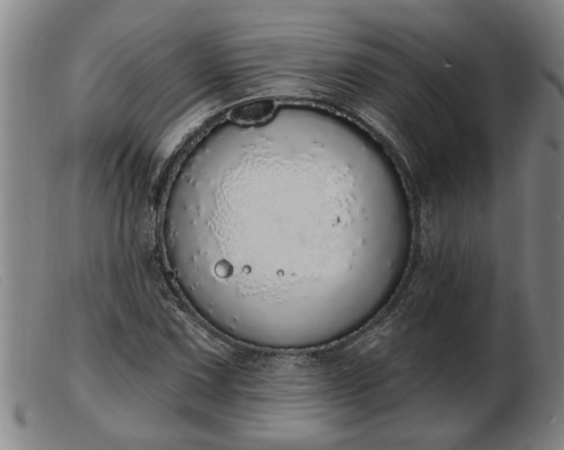 X0000103401067200809191516