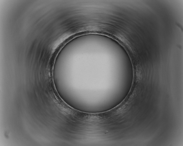 X0000103401070200809191516