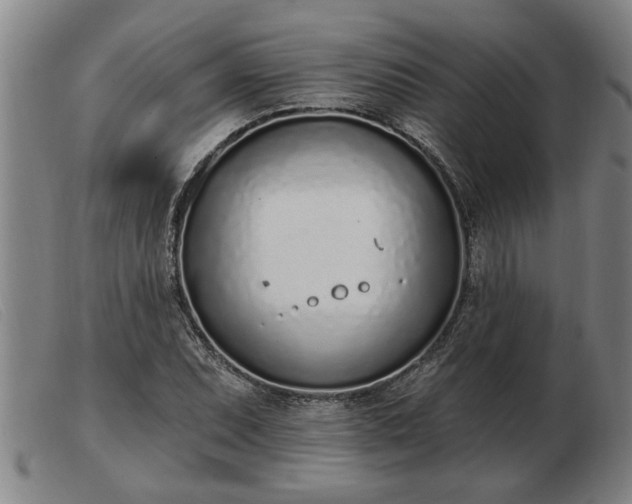 X0000103401071200809191516