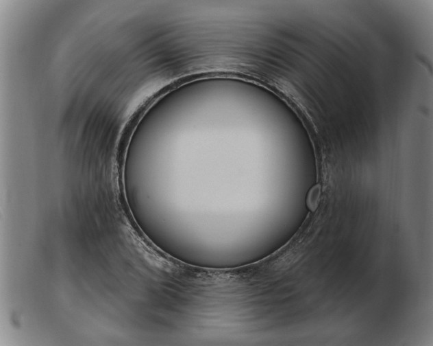 X0000103401072200809191516