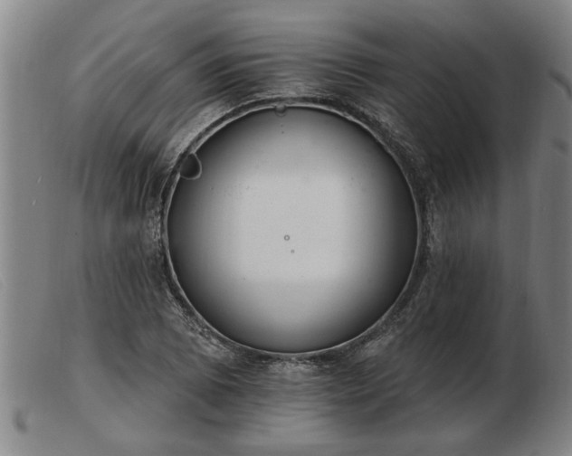 X0000103401073200809191516