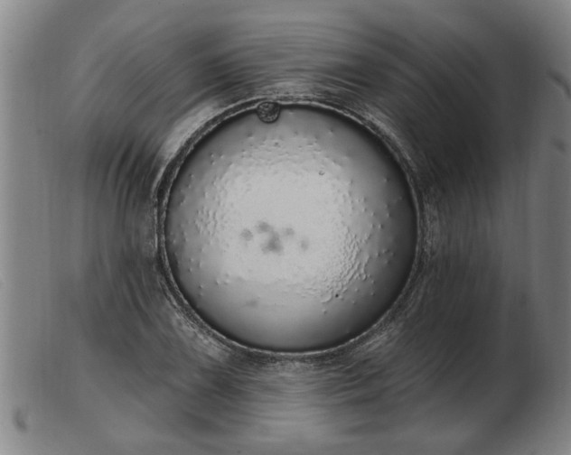 X0000103401075200809191516