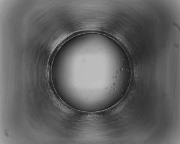 X0000103401077200809191516