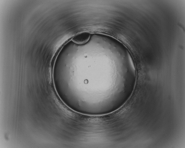 X0000103401079200809191516