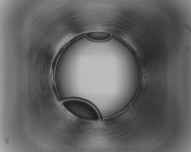 X0000103401080200809191516