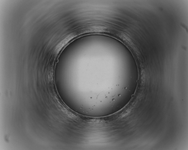 X0000103401081200809191516