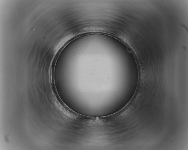 X0000103401082200809191516