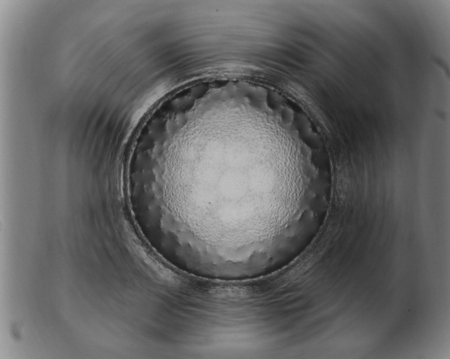 X0000103401083200809191516