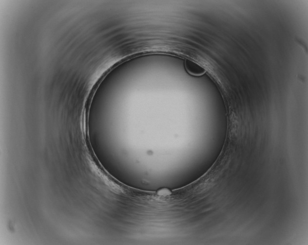 X0000103401084200809191516