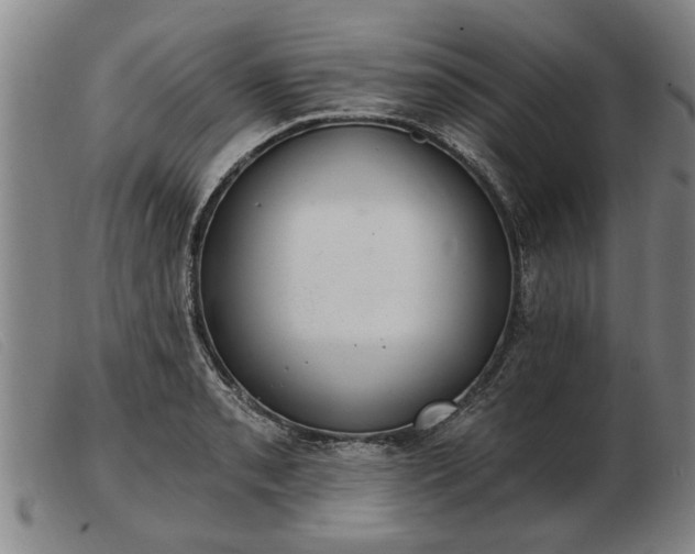 X0000103401085200809191516