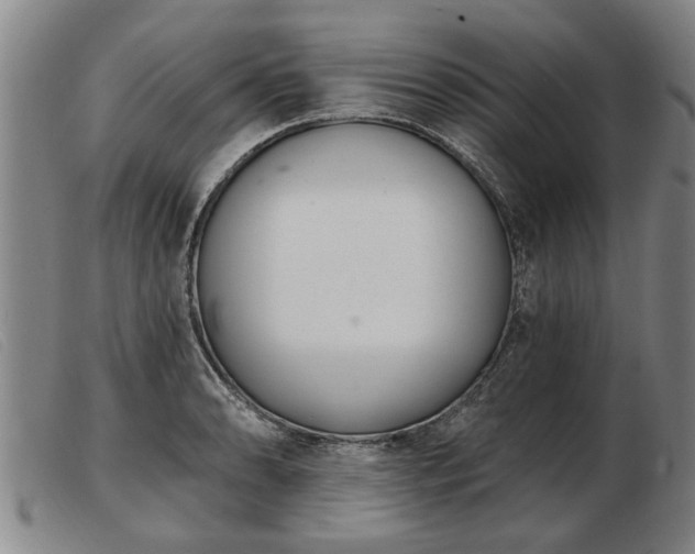 X0000103401086200809191516