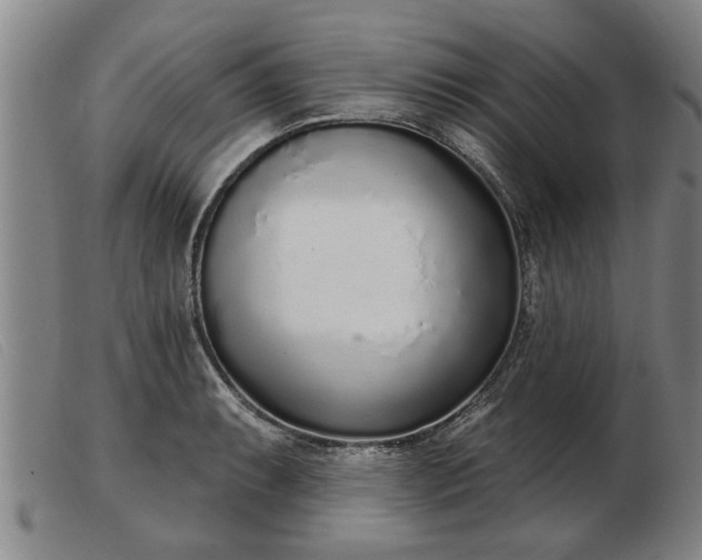 X0000103401087200809191516