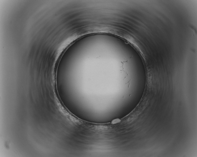 X0000103401088200809191516