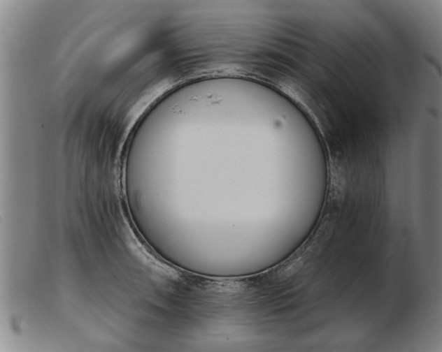 X0000103401090200809191516