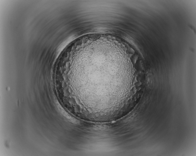 X0000103401091200809191516