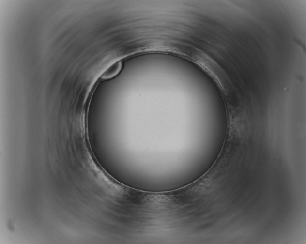 X0000103401092200809191516