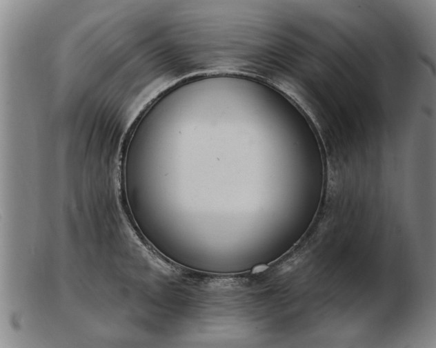 X0000103401093200809191516