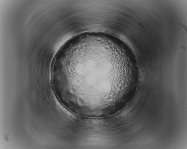 X0000103401095200809191515