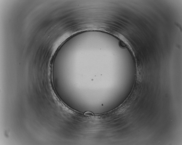 X0000103401096200809191515