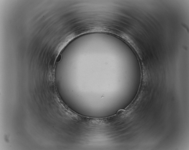 X0000103401097200809191515