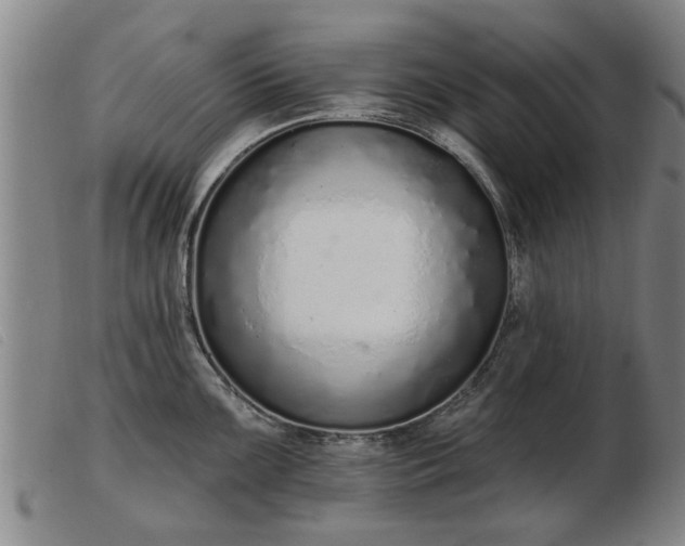 X0000103401099200809191515