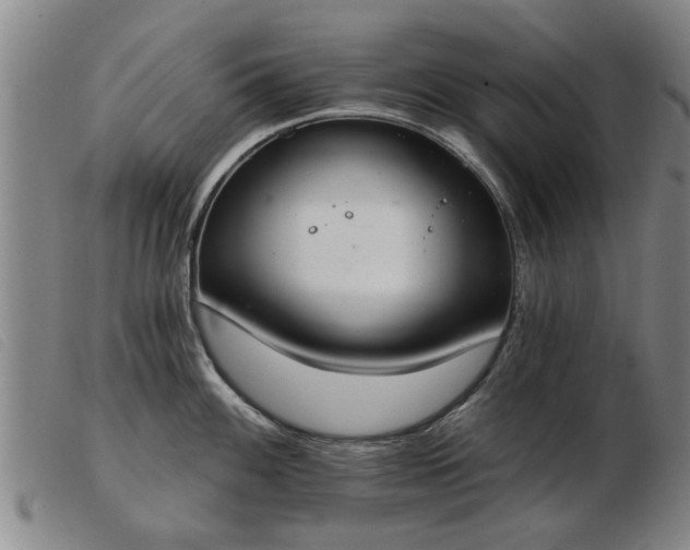 X0000103401100200809191515