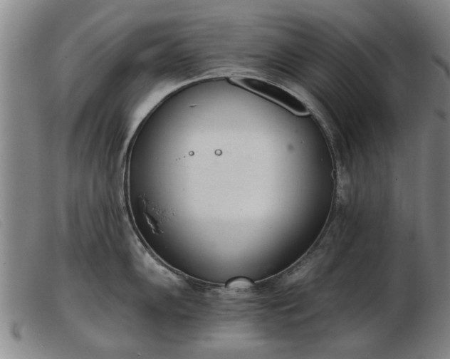 X0000103401102200809191515