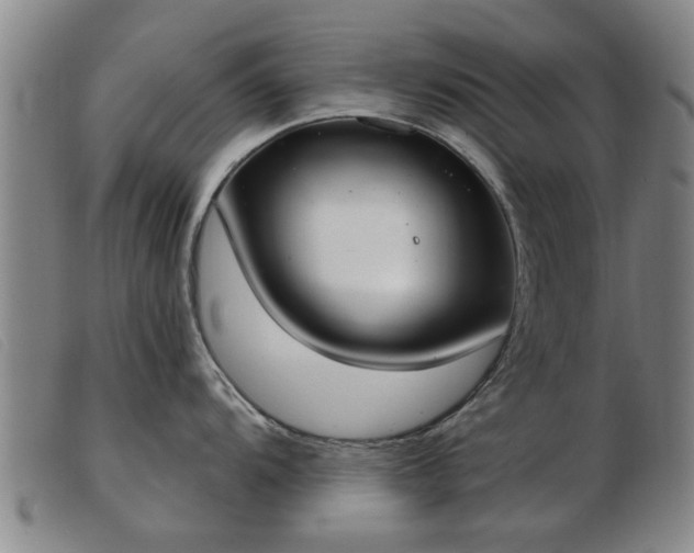 X0000103401104200809191515