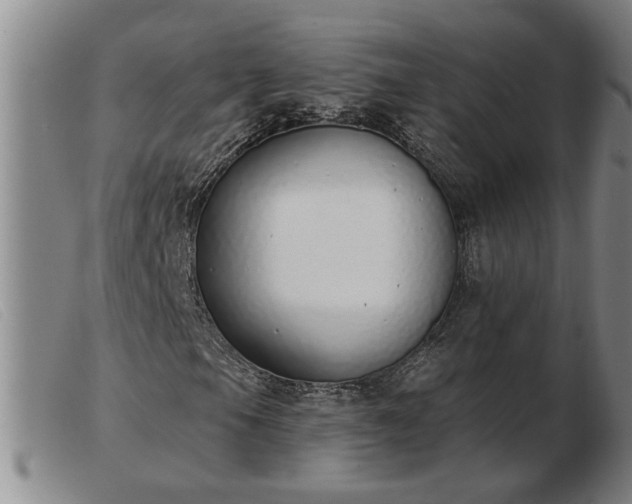 X0000103401105200809191515