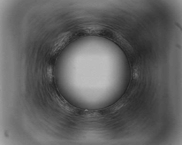 X0000103401108200809191515