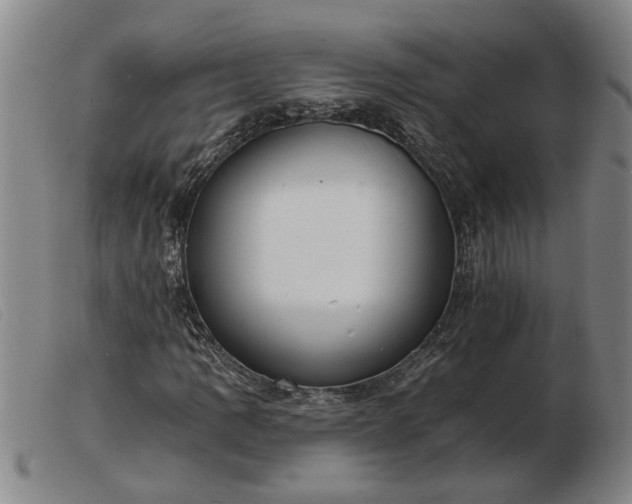 X0000103401109200809191515