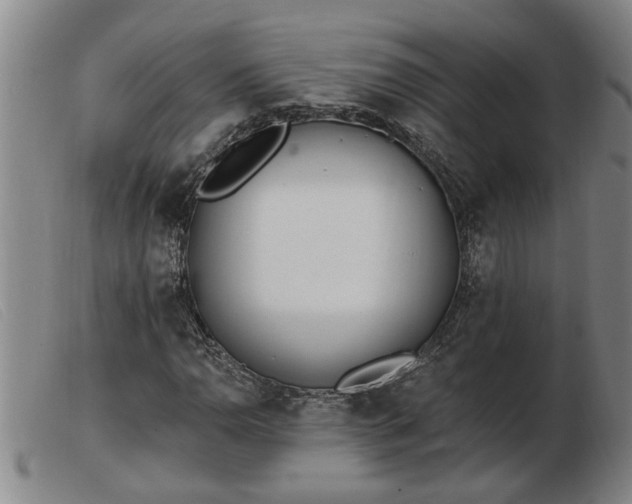 X0000103401110200809191515