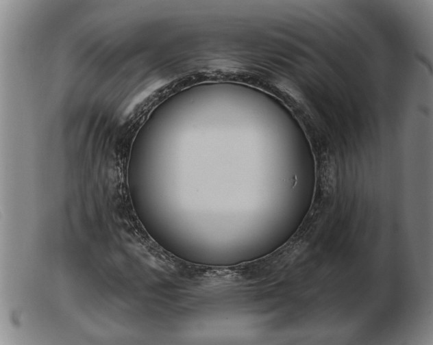 X0000103401112200809191515