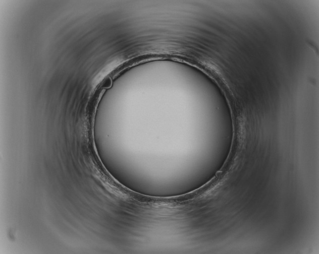 X0000103401114200809191515