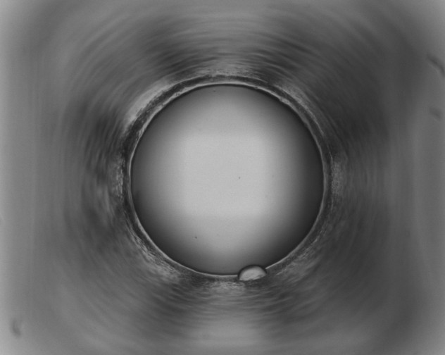 X0000103401115200809191515