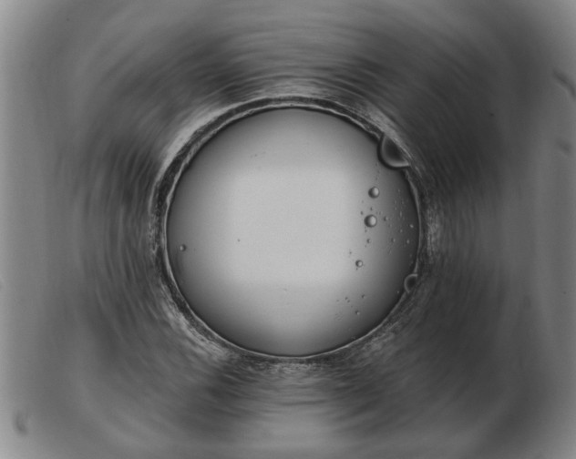 X0000103401116200809191515