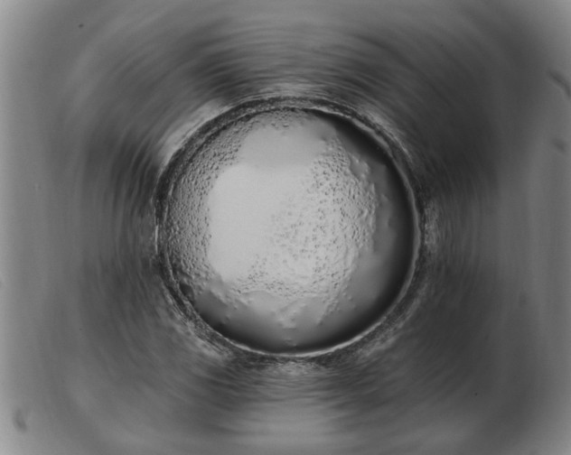 X0000103401117200809191515