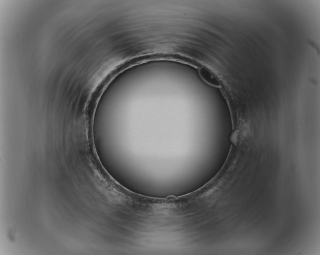 X0000103401118200809191515