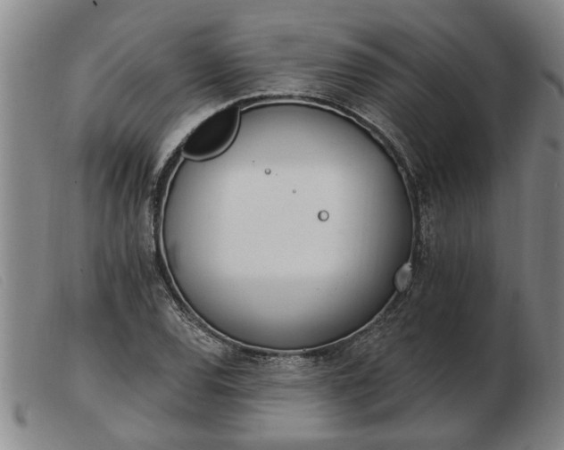 X0000103401120200809191515