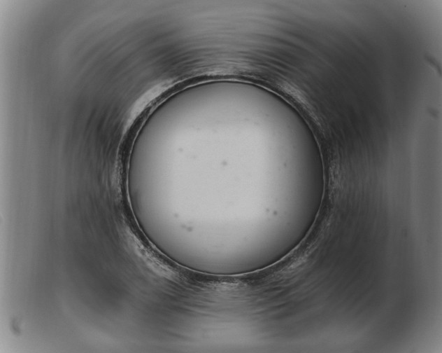 X0000103401122200809191515