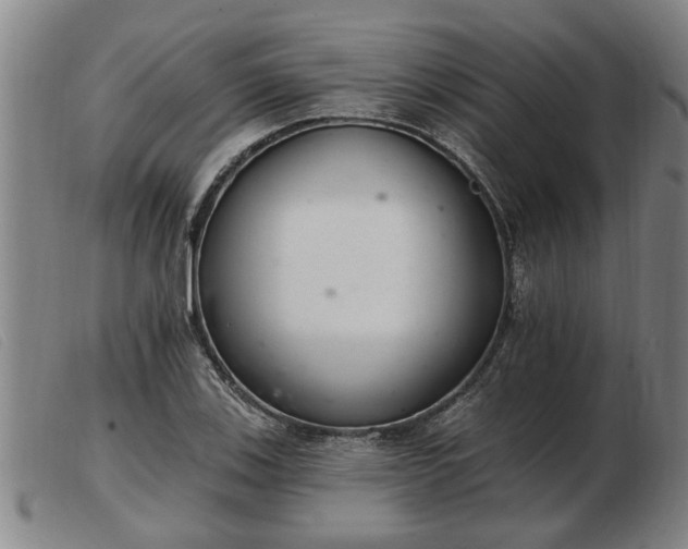 X0000103401123200809191515