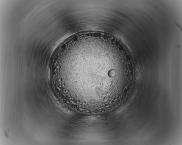 X0000103401125200809191515