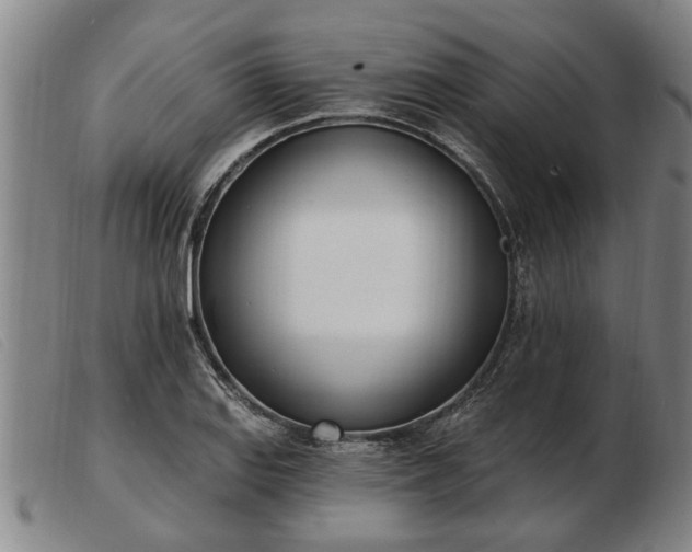 X0000103401127200809191515